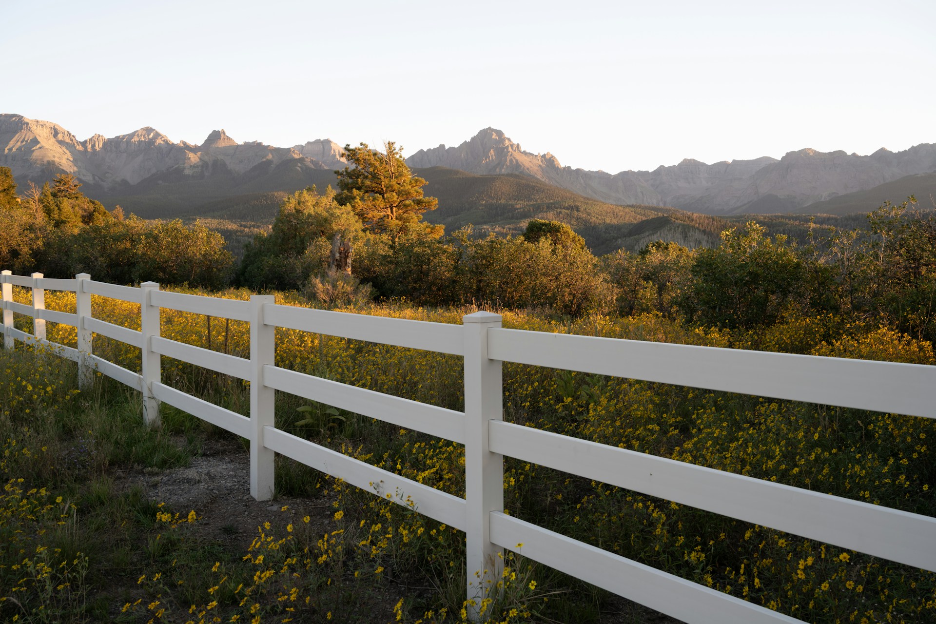 Best Locations For Split Rail Fencing In Your Reno Property